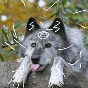 Meet your Posher, Timber